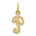Charm initiale P en or 10k