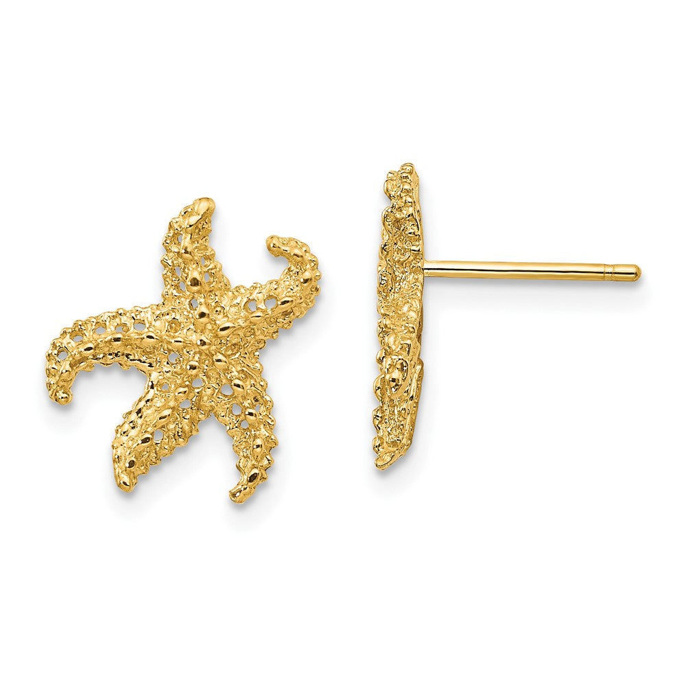 Boucles d'oreilles étoile de mer 14k