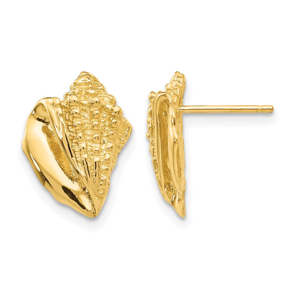 Boucles d’oreilles en coquillage conque 14 carats