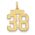 Breloque numéro 38 en satin 10k